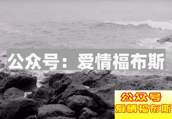32个日本女人、1个男人，7年孤岛生活，揭露人性的阴暗!第4张