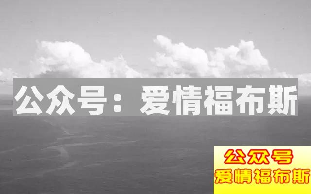 32个日本女人、1个男人，7年孤岛生活，揭露人性的阴暗!第7张