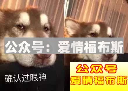 一招让你对女生由「跪舔」变为「吸引」第5张