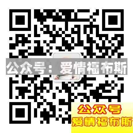 1105天的等待：确认过眼神，一起砍过人第20张