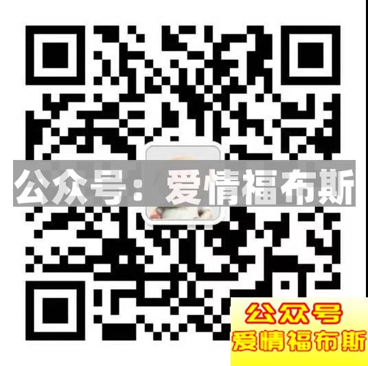 浪迹亲笔：2018如何与女生聊天?第21张