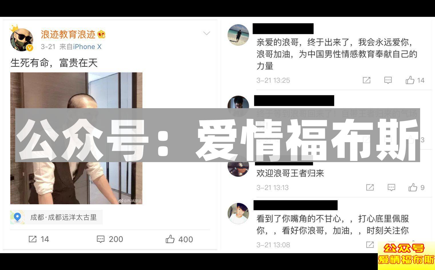 浪迹：至暗37天，犹如凤凰涅槃第4张