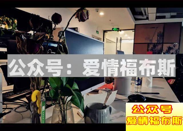 浪迹：至暗37天，犹如凤凰涅槃第5张