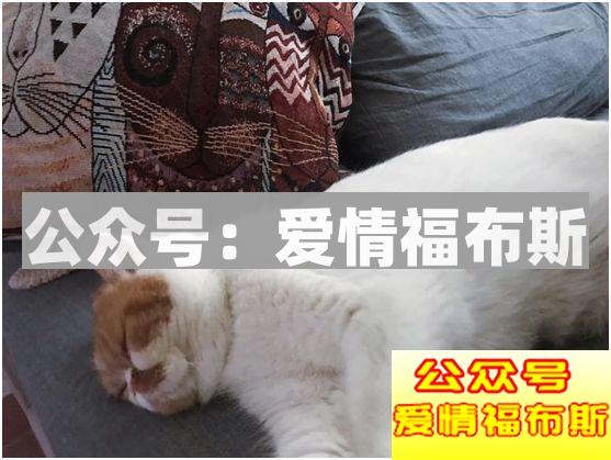 开房已经OUT了，妹子说：这个比酒店更刺激！第16张