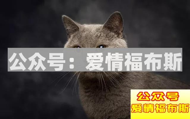 史上最全聊天窗口解析，撩妹so easy！