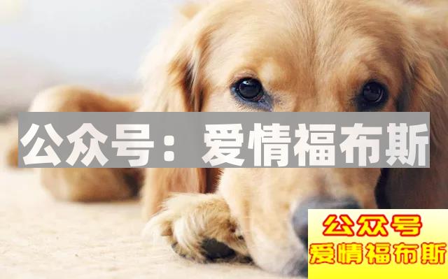 史上最全聊天窗口解析，撩妹so easy！