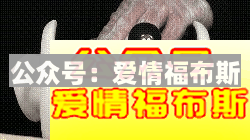 什么是ASMR,为什么ASMR越来越低俗