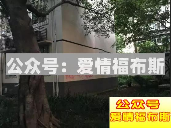 超震撼！！！揭秘最新“50亿富家女”第26张