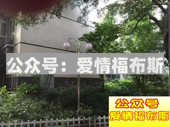 超震撼！！！揭秘最新“50亿富家女”第27张