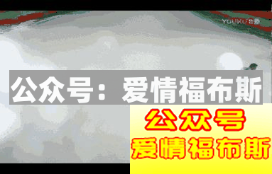 此人已经被全香港男人列入黑名单（连载二）第8张