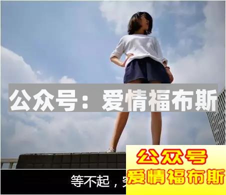 渣男/渣女求复合——拉出来的屎，你会再捡起来吗？第12张
