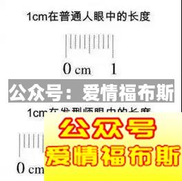 太长撑不过三伏，太短撑不起颜值——问：多长才合适？