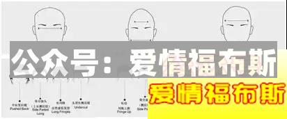太长撑不过三伏，太短撑不起颜值——问：多长才合适？第7张