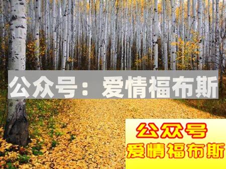 男生如何发高质量的朋友圈第6张