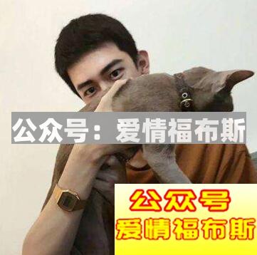 如何做一个吸引女生的展示面?第4张