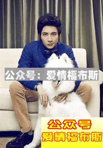 如何用很少的钱打造高逼格微信朋友圈展示面第10张