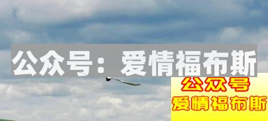 成都周边适合带女生旅行拍照的地方第5张