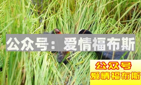 成都周边适合带女生旅行拍照的地方第6张