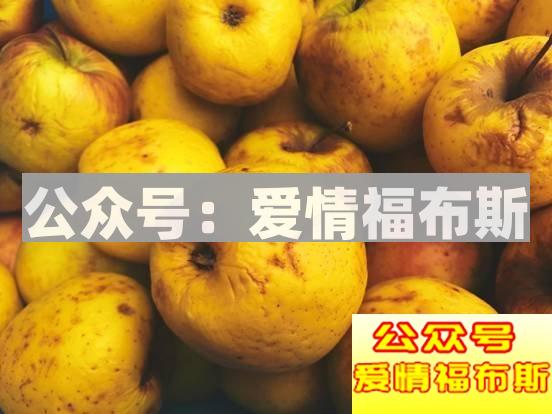 成都周边适合带女生旅行拍照的地方第10张