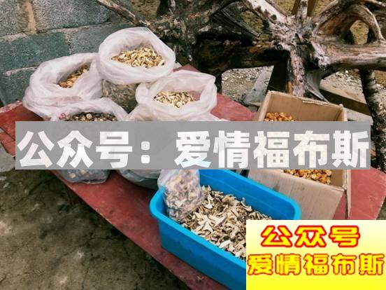 成都周边适合带女生旅行拍照的地方第11张