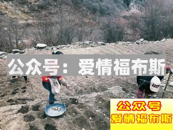 成都周边适合带女生旅行拍照的地方第12张