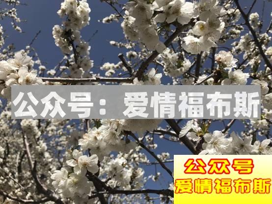 成都周边适合带女生旅行拍照的地方第9张