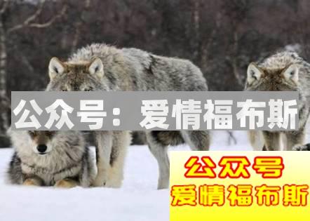 如何才能热爱生活，对生活充满激情?第2张