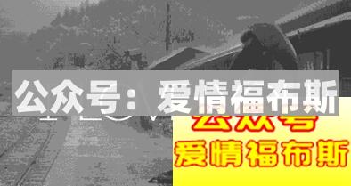 为什么追女生不能死缠烂打第2张