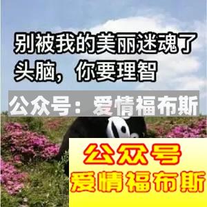 学会了这些骚操作，切！勿！用！来！骗！P！第7张
