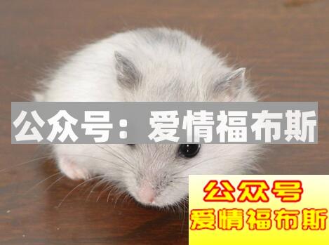 三种维系长期关系的方法，希望能帮到你第3张