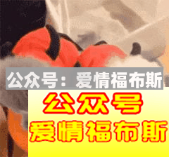 婚前同居：我房子都买好了结果老婆跑了！