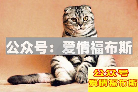 坦白局:分手后,我把送给她的2000块钱礼物要了回来第8张