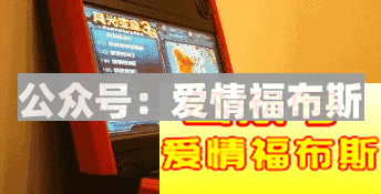 4座城市，24家网红图鉴，1001种约会可能第16张