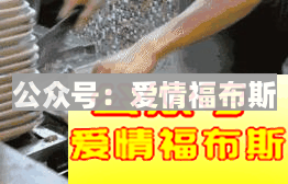 4座城市，24家网红图鉴，1001种约会可能第14张