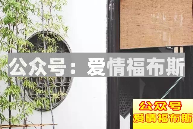 4座城市，24家网红图鉴，1001种约会可能第37张