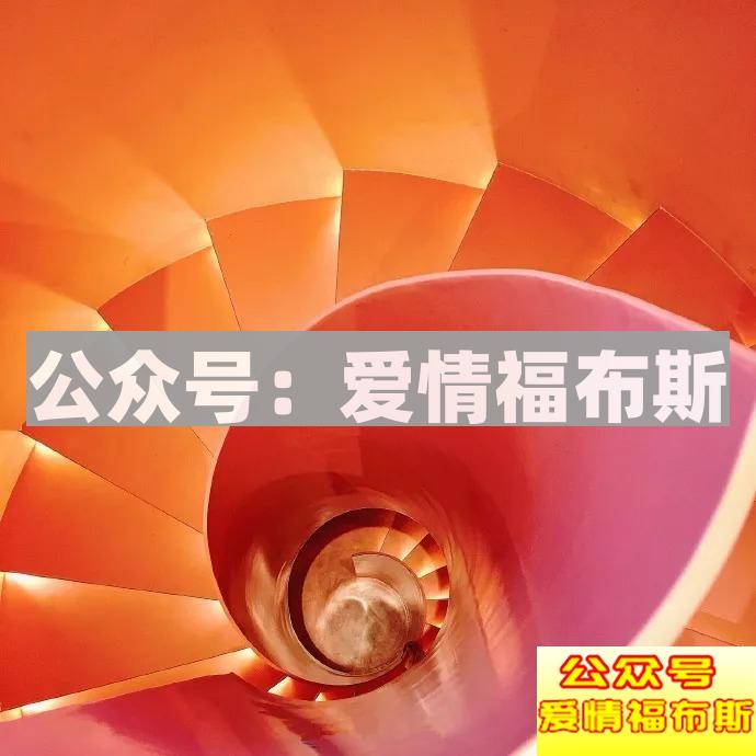 4座城市，24家网红图鉴，1001种约会可能第47张