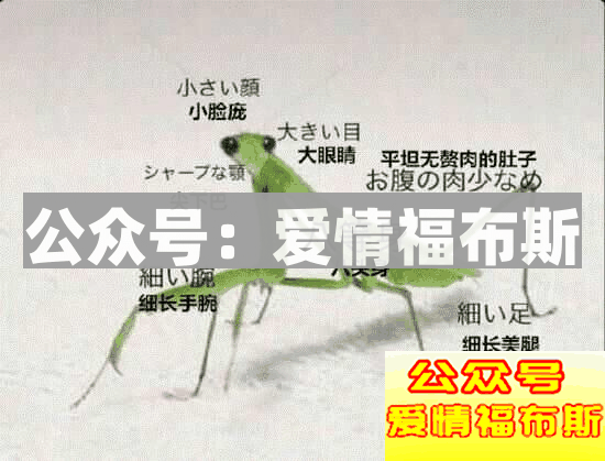 网红脸VS处女脸，你的女朋友是什么脸？第18张