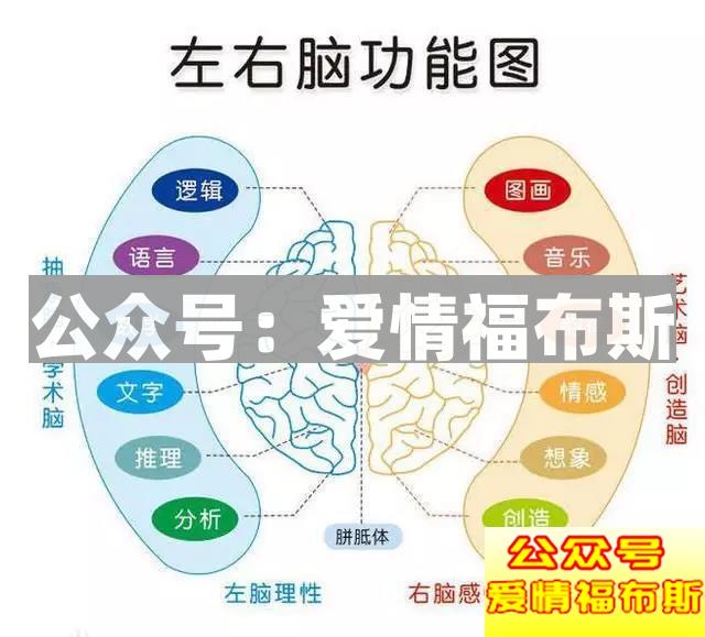 为什么你的相亲总是失败？聊天不是最重要的第3张