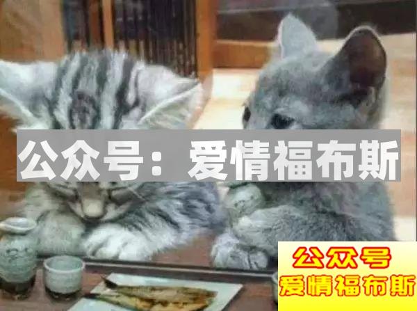 7种实用攻略：怎么判断妹子喜不喜欢我？第2张