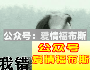 被拉黑、云备胎、不受尊重--直男急需自救！第4张