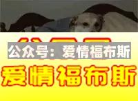 如何做到百分百地吸引异性?第2张