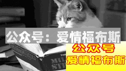 从“包办婚姻”到“自由选择”，如何把喜欢的人追回家？第4张