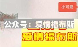 如何巧妙的从探探加到对方微信第1张