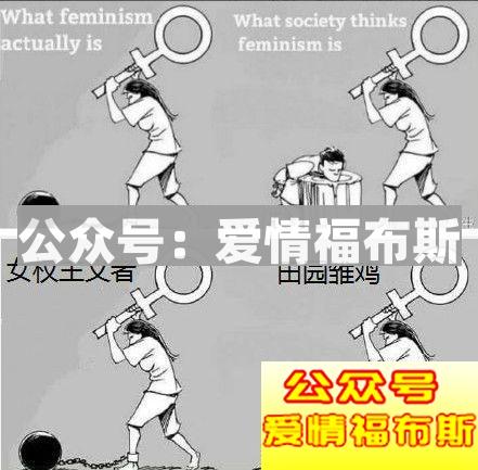 一个张雨绮，炸出了朋友圈多少伪女权第12张