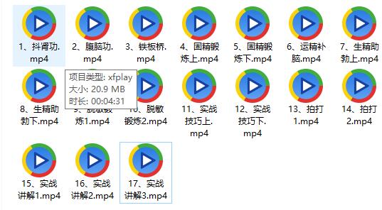 男人精髓文化《龙龟回春术》百度网盘下载【081802】