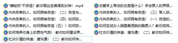 魅力男神系列《完美自信：做魅力男人》百度网盘下载【081808】
