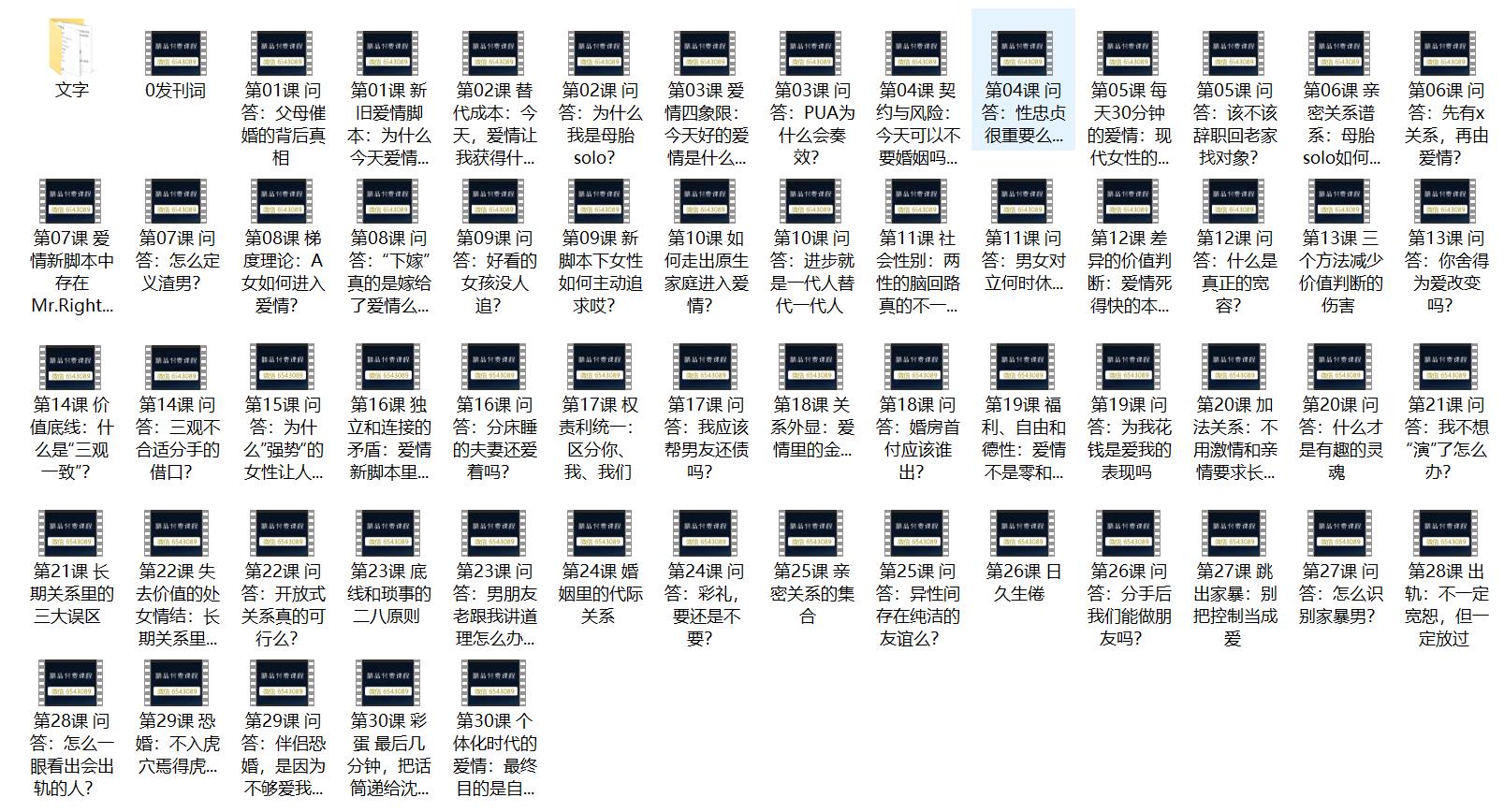[8GB]复旦沈奕斐《社会爱情思维课》网盘下载
