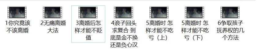 [2.8GB]算爱研习社《无痛离婚法》视频教程【011310】