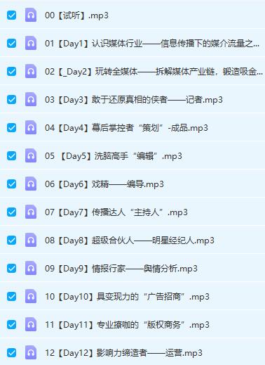 Chic原醉《360°揭秘星光璀璨的传媒业》网盘下载