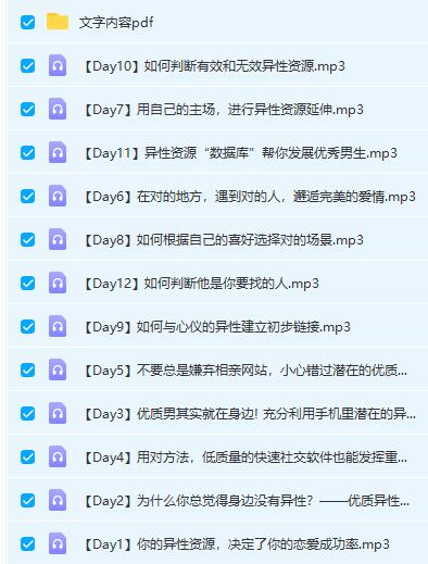 Chic原醉《恋爱力满分的异性资源拓展秘籍》网盘下载